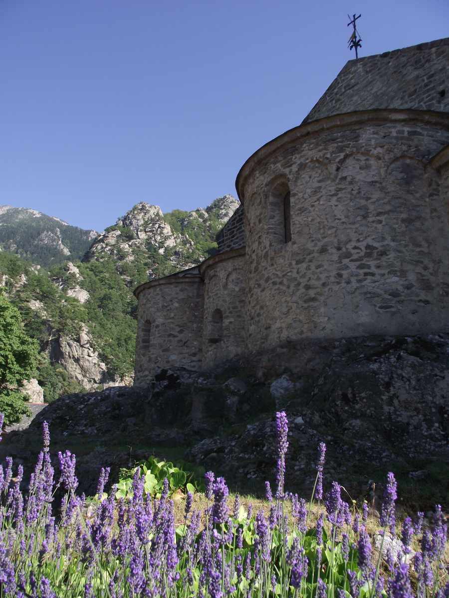 Chevel de l'abbaye avec les lavandes