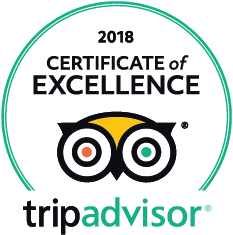 Trip advisor